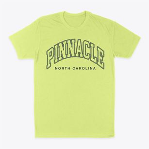 Pinnacle North Carolina Inline Classic Dad T-Shirt