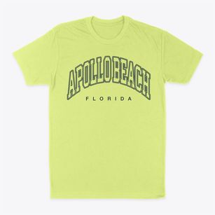 Apollo Beach Florida Inline Classic Dad T-Shirt