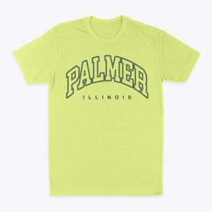 Palmer Illinois Inline Classic Dad T-Shirt