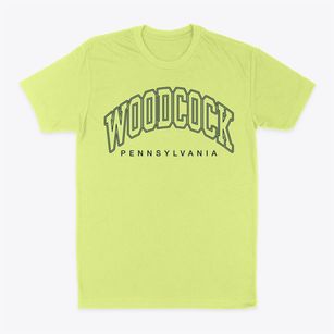 Woodcock Pennsylvania Inline Classic Dad T-Shirt