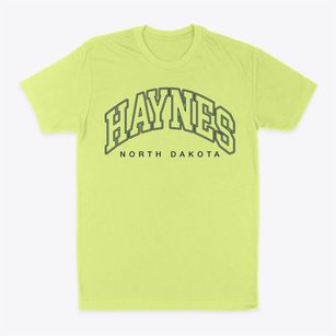 Haynes North Dakota Inline Classic Dad T-Shirt
