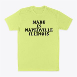 Naperville Illinois Classic 70s Classic Dad T-Shirt
