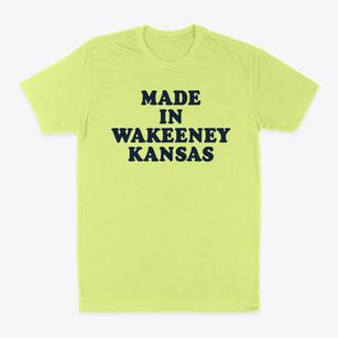 Wakeeney Kansas Classic 70s Classic Dad T-Shirt