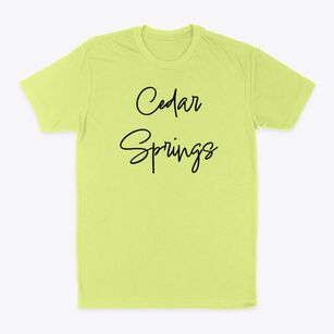 Cedar Springs Missouri Freestyle Classic Dad T-Shirt