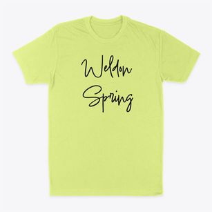 Weldon Spring Missouri Freestyle Classic Dad T-Shirt