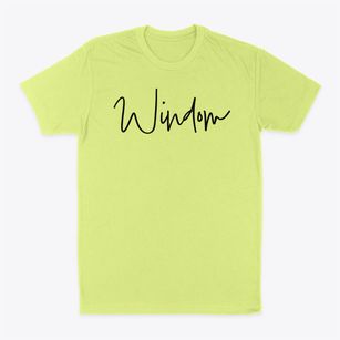 Windom Minnesota Freestyle Classic Dad T-Shirt