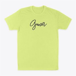 Gower Missouri Freestyle Classic Dad T-Shirt