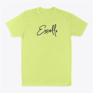 Excello Missouri Freestyle Classic Dad T-Shirt