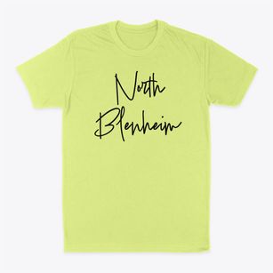 North Blenheim New York Freestyle Classic Dad T-Shirt