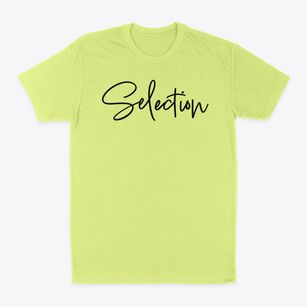 Selection Iowa Freestyle Classic Dad T-Shirt