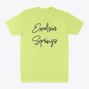 Excelsior Springs Missouri Freestyle Classic Dad T-Shirt