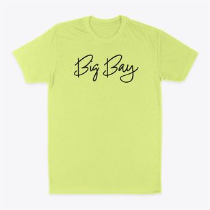 Big Bay Illinois Freestyle Classic Dad T-Shirt