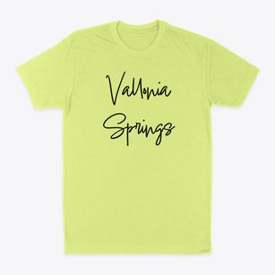 Vallonia Springs New York Freestyle Classic Dad T-Shirt