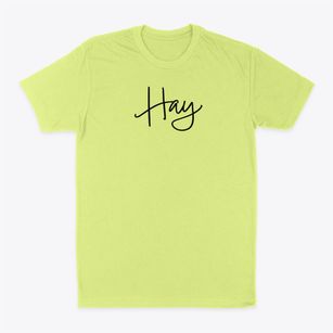 Hay Washington Freestyle Classic Dad T-Shirt