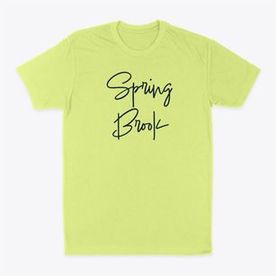 Spring Brook New York Freestyle Classic Dad T-Shirt
