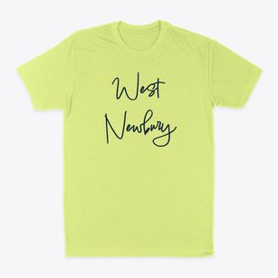 West Newbury Vermont Freestyle Classic Dad T-Shirt