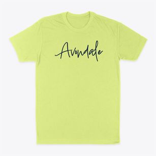 Avondale North Carolina Freestyle Classic Dad T-Shirt