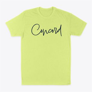 Concord New Hampshire Freestyle Classic Dad T-Shirt
