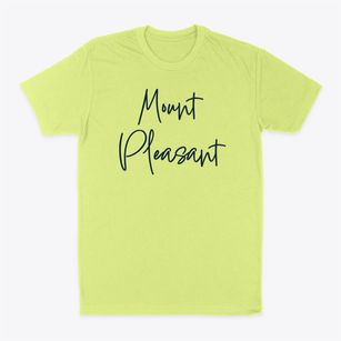 Mount Pleasant Wisconsin Freestyle Classic Dad T-Shirt