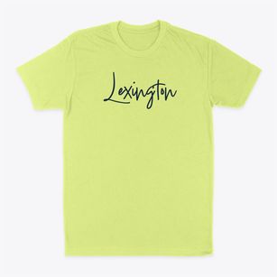 Lexington South Carolina Freestyle Classic Dad T-Shirt