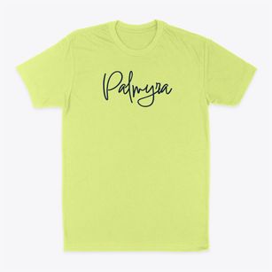 Palmyra Nebraska Freestyle Classic Dad T-Shirt