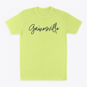 Gainesville Texas Freestyle Classic Dad T-Shirt