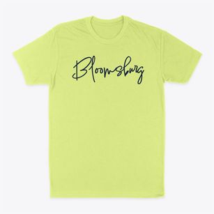 Bloomsburg Pennsylvania Freestyle Classic Dad T-Shirt