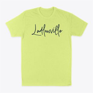Ludlowville New York Freestyle Classic Dad T-Shirt