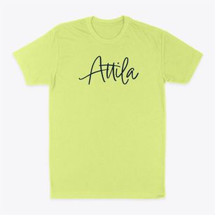 Attila Illinois Freestyle Classic Dad T-Shirt