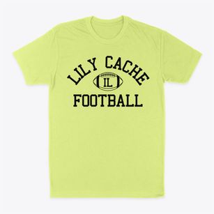 Lily Cache Illinois Football Classic Dad T-Shirt