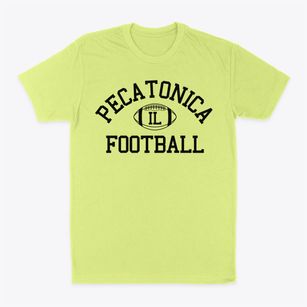 Pecatonica Illinois Football Classic Dad T-Shirt