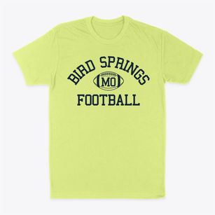 Bird Springs Missouri Football Classic Dad T-Shirt