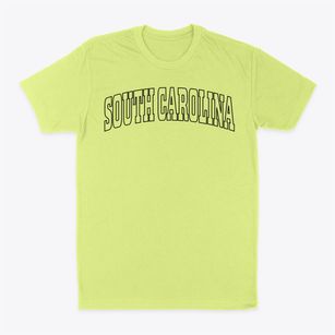  South Carolina Trendy State Classic Dad T-Shirt