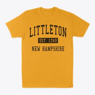 Littleton New Hampshire Classic Established Classic Dad T-Shirt