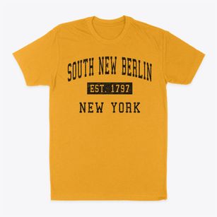 South New Berlin New York Classic Established Classic Dad T-Shirt