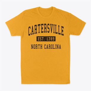 Cartersville North Carolina Classic Established Classic Dad T-Shirt