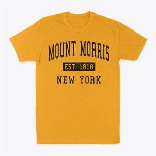 Mount Morris New York Classic Established Classic Dad T-Shirt