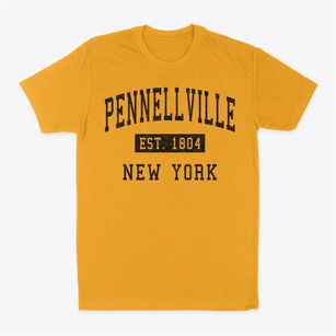 Pennellville New York Classic Established Classic Dad T-Shirt