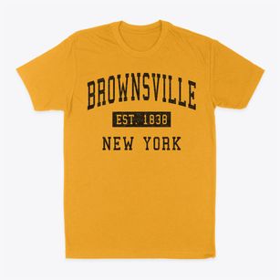 Brownsville New York Classic Established Classic Dad T-Shirt