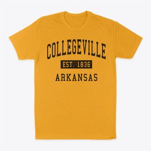Collegeville Arkansas Classic Established Classic Dad T-Shirt