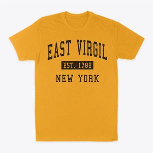East Virgil New York Classic Established Classic Dad T-Shirt