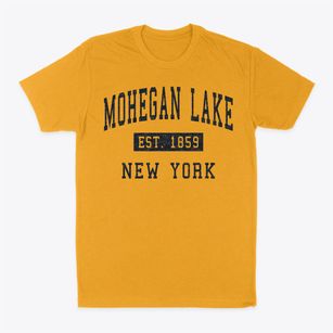 Mohegan Lake New York Classic Established Classic Dad T-Shirt