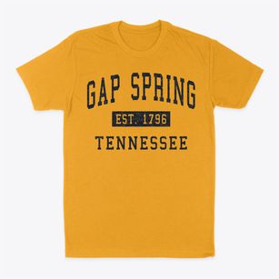 Gap Spring Tennessee Classic Established Classic Dad T-Shirt