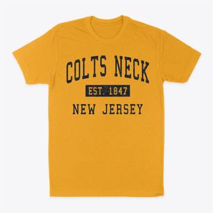 Colts Neck New Jersey Classic Established Classic Dad T-Shirt