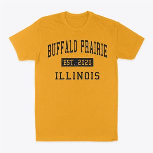 Buffalo Prairie Illinois Classic Established Classic Dad T-Shirt