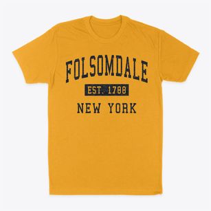 Folsomdale New York Classic Established Classic Dad T-Shirt