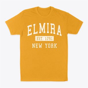Elmira New York Classic Established Classic Dad T-Shirt