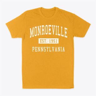 Monroeville Pennsylvania Classic Established Classic Dad T-Shirt
