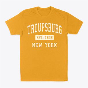 Troupsburg New York Classic Established Classic Dad T-Shirt