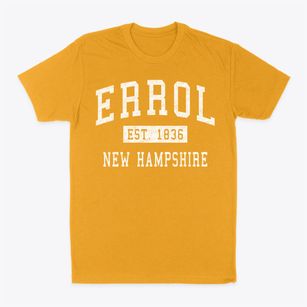 Errol New Hampshire Classic Established Classic Dad T-Shirt